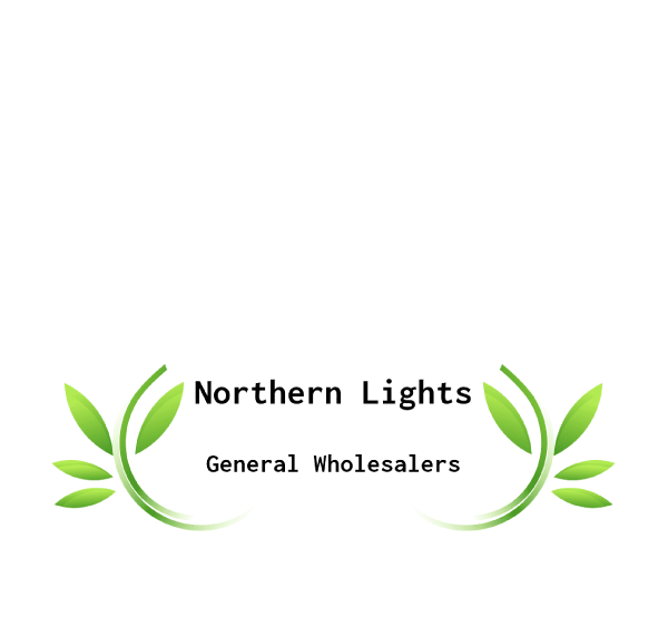 株式会社Northern Lights